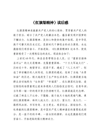 《红旗渠精神》读后感