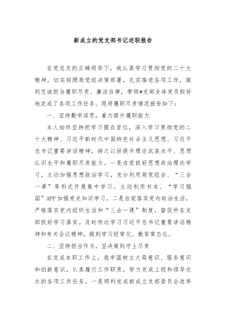 新成立的党支部书记述职报告