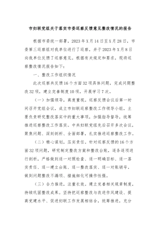 市妇联党组关于落实市委巡察反馈意见整改情况的报告