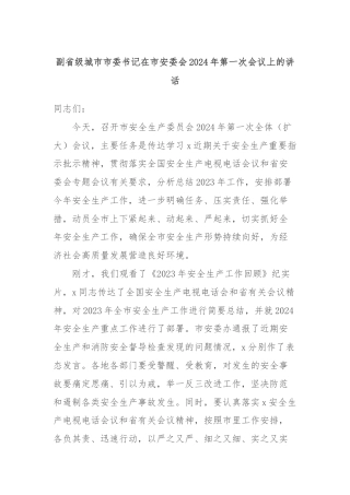 副省级城市市委书记在市安委会2024年第一次会议上的讲话