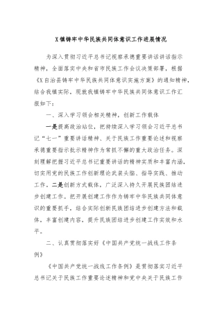 X镇铸牢中华民族共同体意识工作进展情况