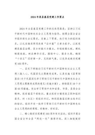 2024年某县基层党建工作要点