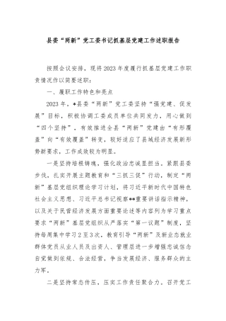 县委“两新”党工委书记抓基层党建工作述职报告