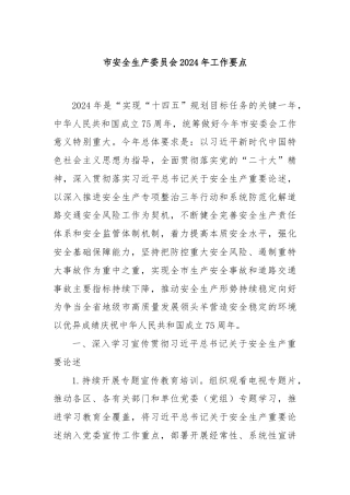 市安全生产委员会2024年工作要点