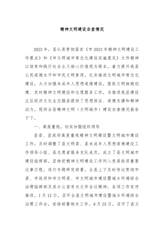 精神文明建设自查情况