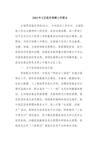 2024年X区医疗保障工作要点