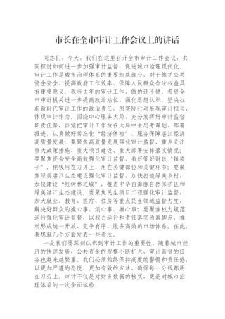 市长在全市审计工作会议上的讲话
