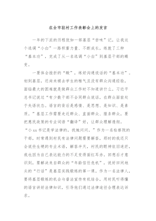 在全市驻村工作表彰会上的发言 (6)