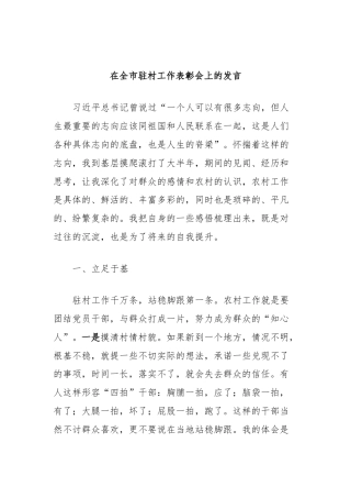 在全市驻村工作表彰会上的发言 (4)