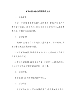 青年岗位建功项目活动方案