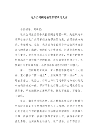 电力公司副总经理任职表态发言