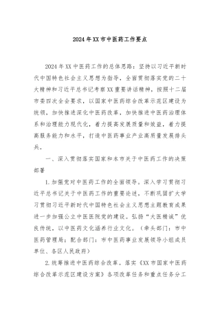 2024年XX市中医药工作要点