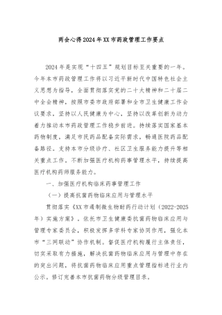2024年XX市药政管理工作要点