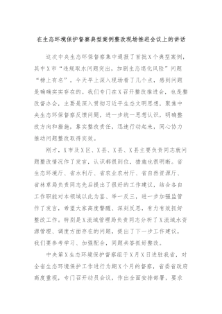 在生态环境保护督察典型案例整改现场推进会议上的讲话