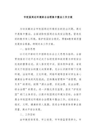 市校园周边环境综合治理集中整治工作方案