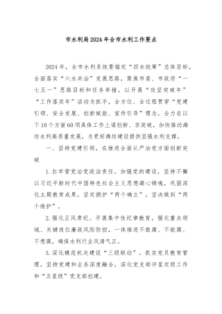 市水利局2024年全市水利工作要点