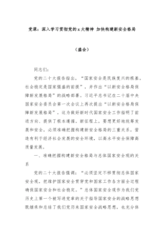 党课：深入学习贯彻党的x大精神 加快构建新安全格局（盛会）