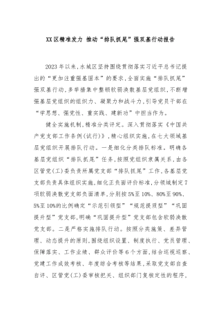 XX区精准发力 推动“排队抓尾”强双基行动报告
