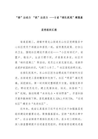 “排”出动力 “抓”出活力 ——X省“排队抓尾”建强基层党组织汇报