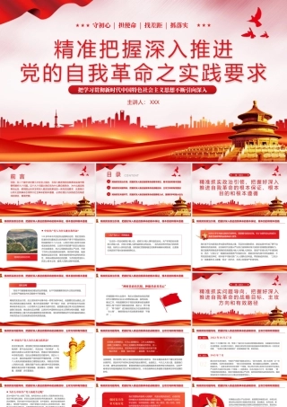 推进党的自我革命之实践要求党课教育课件PPT（20240327）