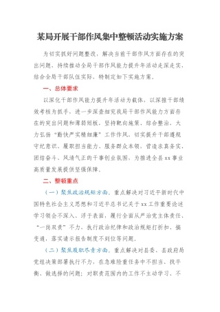 某局开展干部作风集中整顿活动实施方案