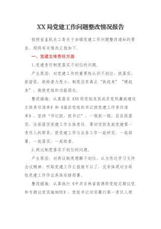 XX局党建工作问题整改情况报告