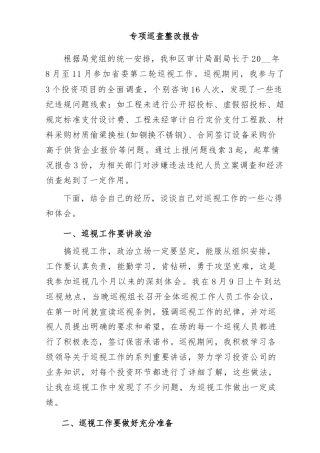 专项巡查整改报告