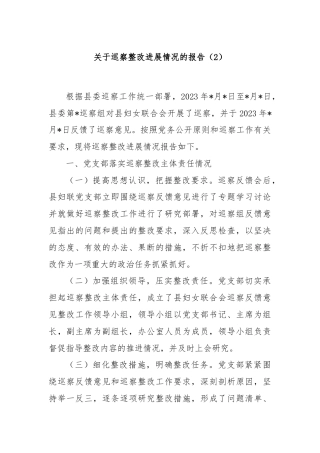 关于巡察整改进展情况的报告（2）