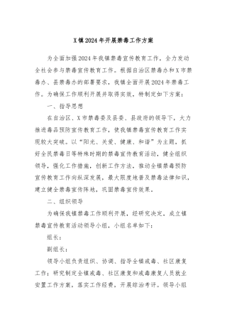 X镇2024年开展禁毒工作方案