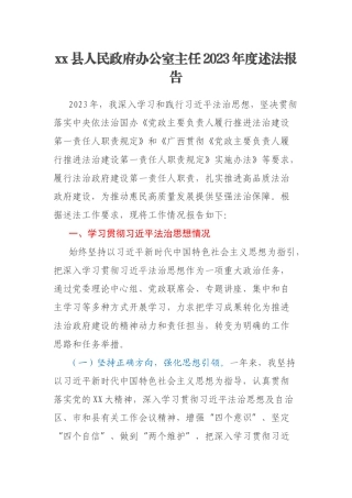 xx县人民政府办公室主任2023年度述法报告