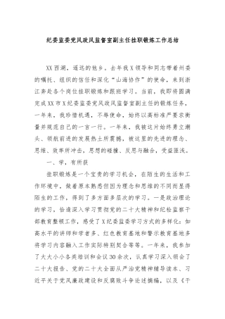 纪委监委党风政风监督室副主任挂职锻炼工作总结