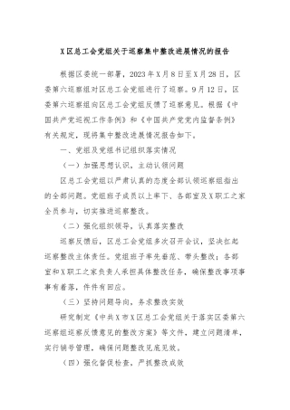 X区总工会党组关于巡察集中整改进展情况的报告