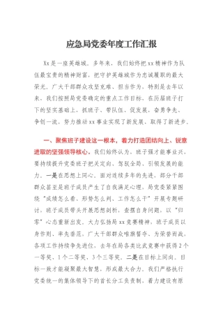 应急局党委年度工作汇报