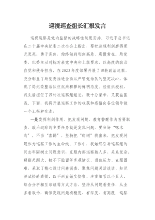 巡视巡查组长汇报发言