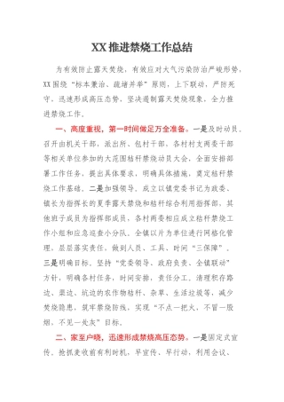 XX推进禁烧工作总结