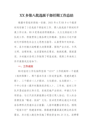 XX乡第八批选派干部任期工作总结