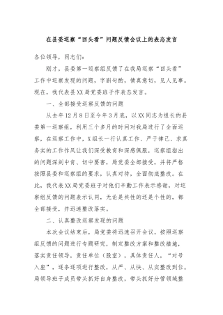 在县委巡察“回头看”问题反馈会议上的表态发言