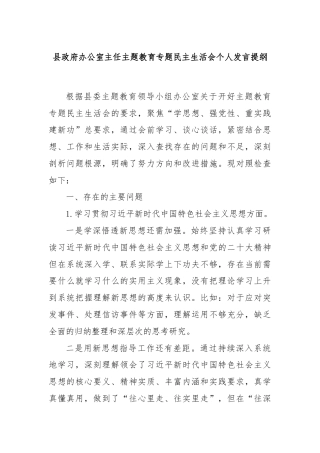 县政府办公室主任主题教育专题民主生活会个人发言提纲