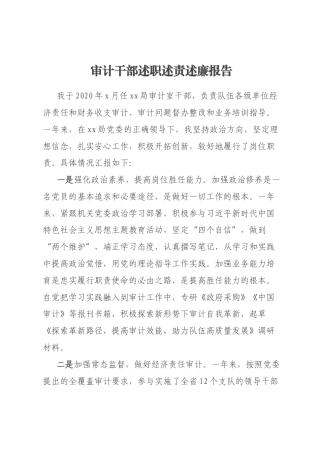 审计干部述职述责述廉报告