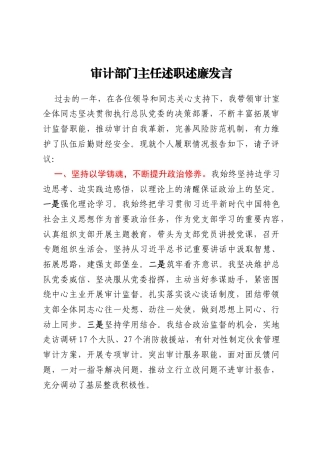 审计部门主任述职述廉发言