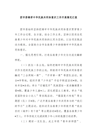 团市委铸劳中华民族共同体意识工作开展情况汇报