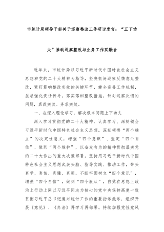 市统计局领导干部关于巡察整改工作研讨发言：“五下功夫”推动巡察整改与业务工作双融合