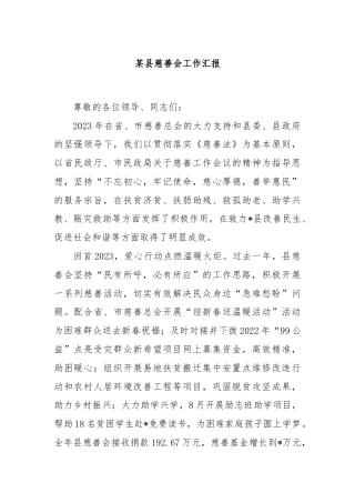 某县慈善会工作汇报