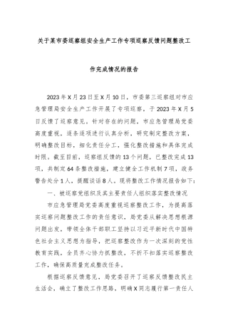 关于某市委巡察组安全生产工作专项巡察反馈问题整改工作完成情况的报告