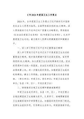 X市2024年爱国卫生工作要点