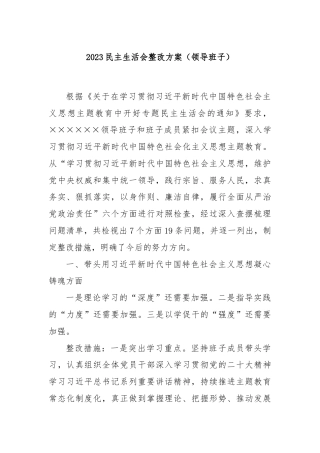 2023民主生活会整改方案（领导班子）