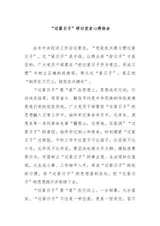 “过紧日子”研讨发言心得体会