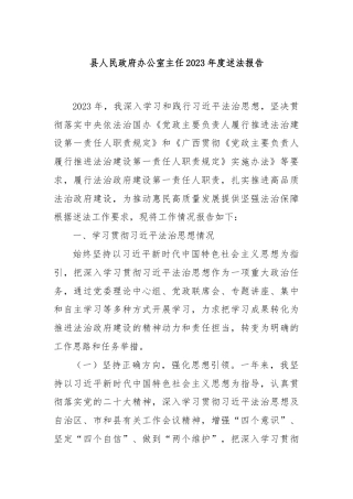 县人民政府办公室主任2023年度述法报告