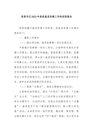 党委书记2023年度抓基层党建工作的述职报告