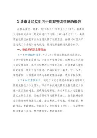 X县审计局党组关于巡察整改情况的报告